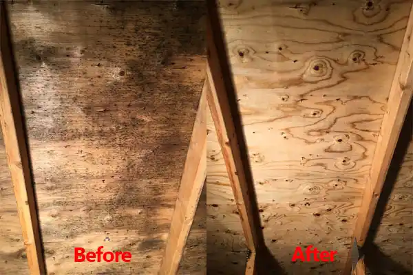 water damage restoration service Big Sandy
